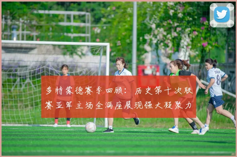 多特蒙德赛季回顾：历史第十次联赛亚军主场全满座展现强大凝聚力